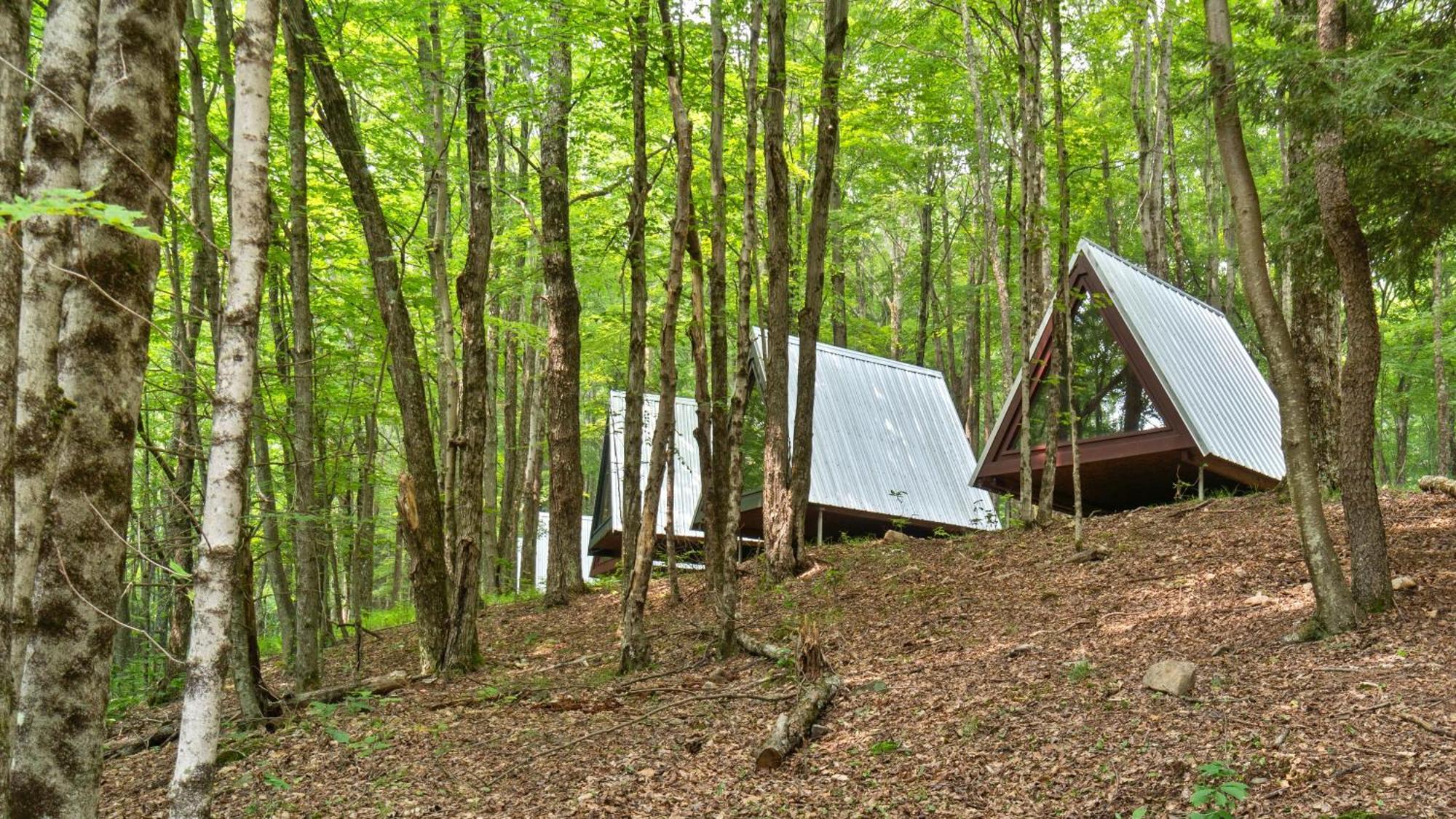 Callicoon Hills Callicoon Center Dış mekan fotoğraf